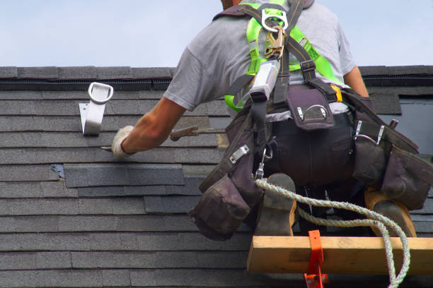 Best Local Roofing Companies  in Lake Forest Park, WA