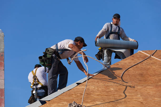 Best Roof Restoration Services  in Lake Forest Park, WA