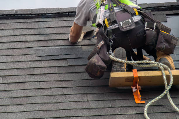 Quick and Trustworthy Emergency Roof Repair Services in Lake Forest Park, WA