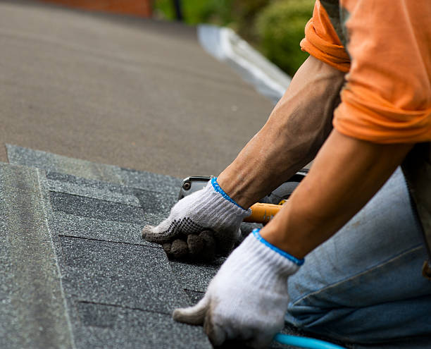 Best Roof Repair Services  in Lake Forest Park, WA